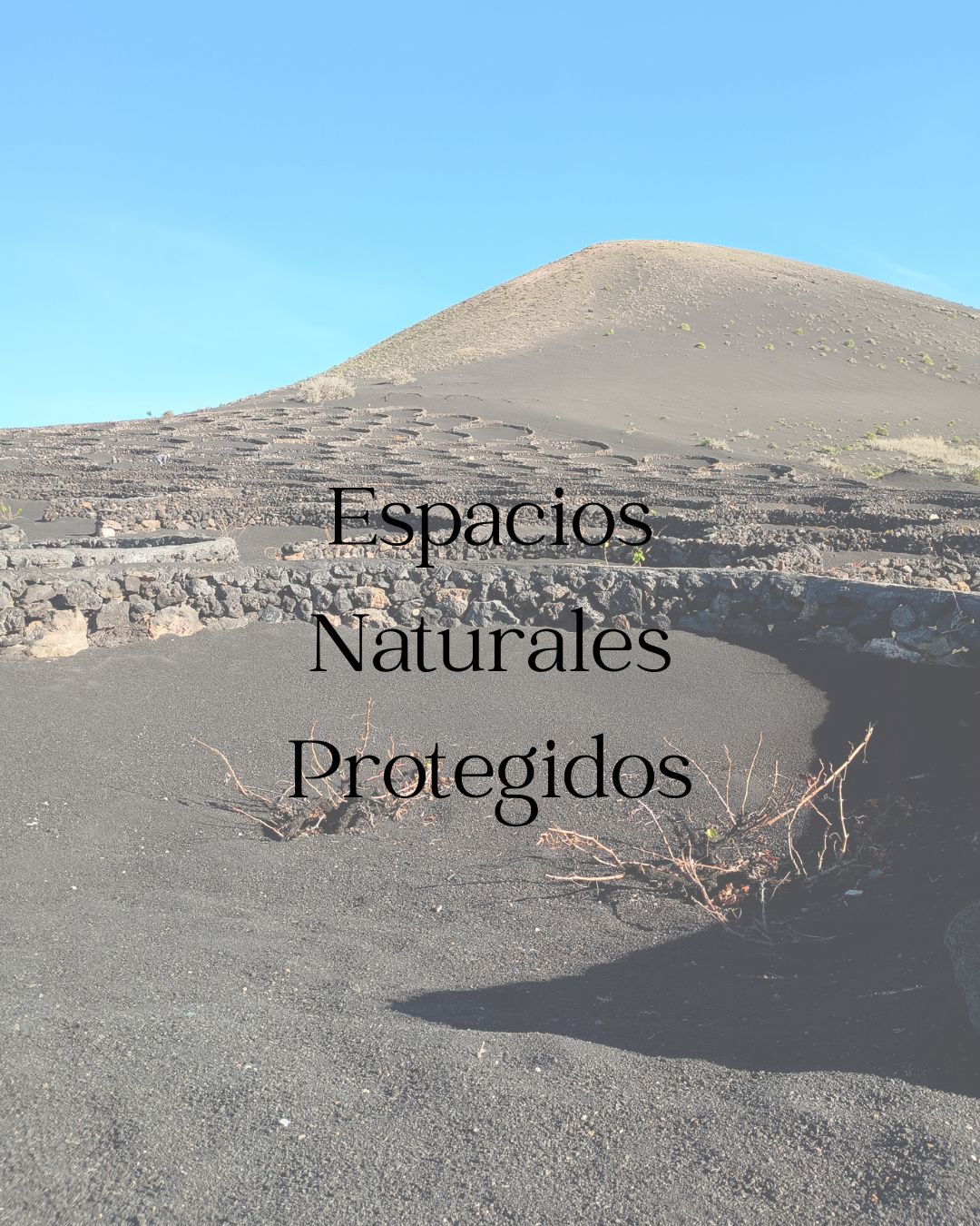 Espacios Naturales Protegidos de Lanzarote