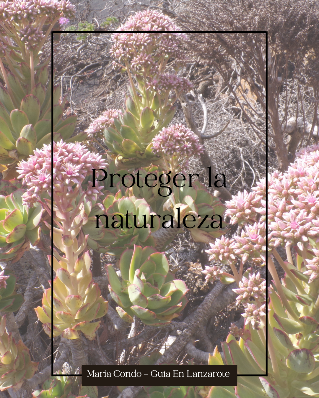 Proteger la naturaleza