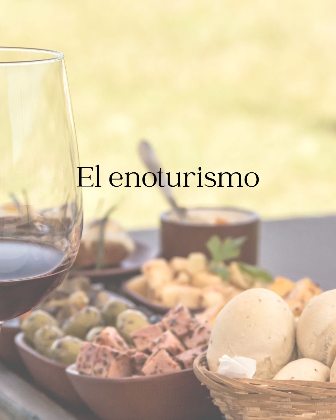 Enoturismo: vino, paisaje y sostenibilidad