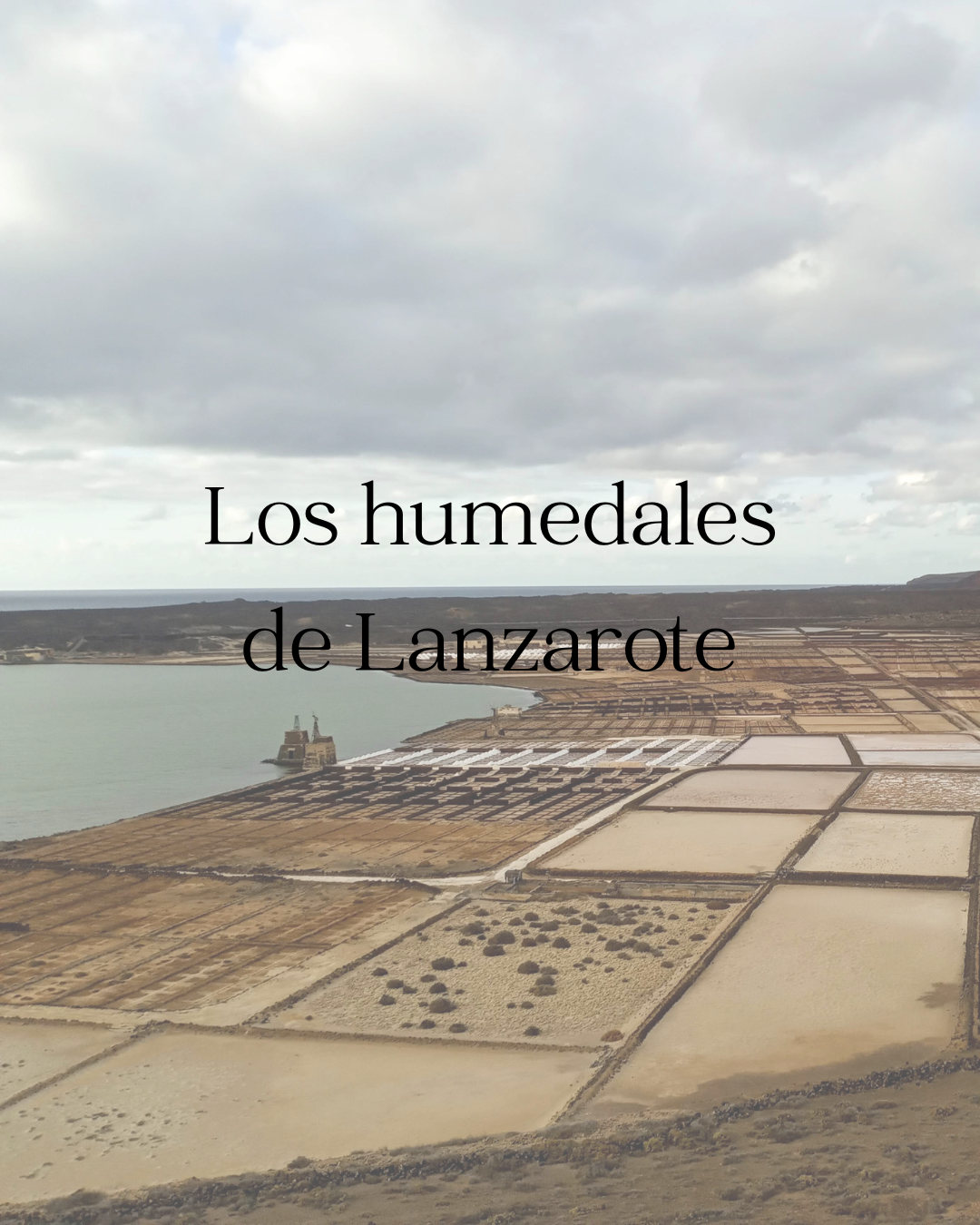 Los humedales de Lanzarote