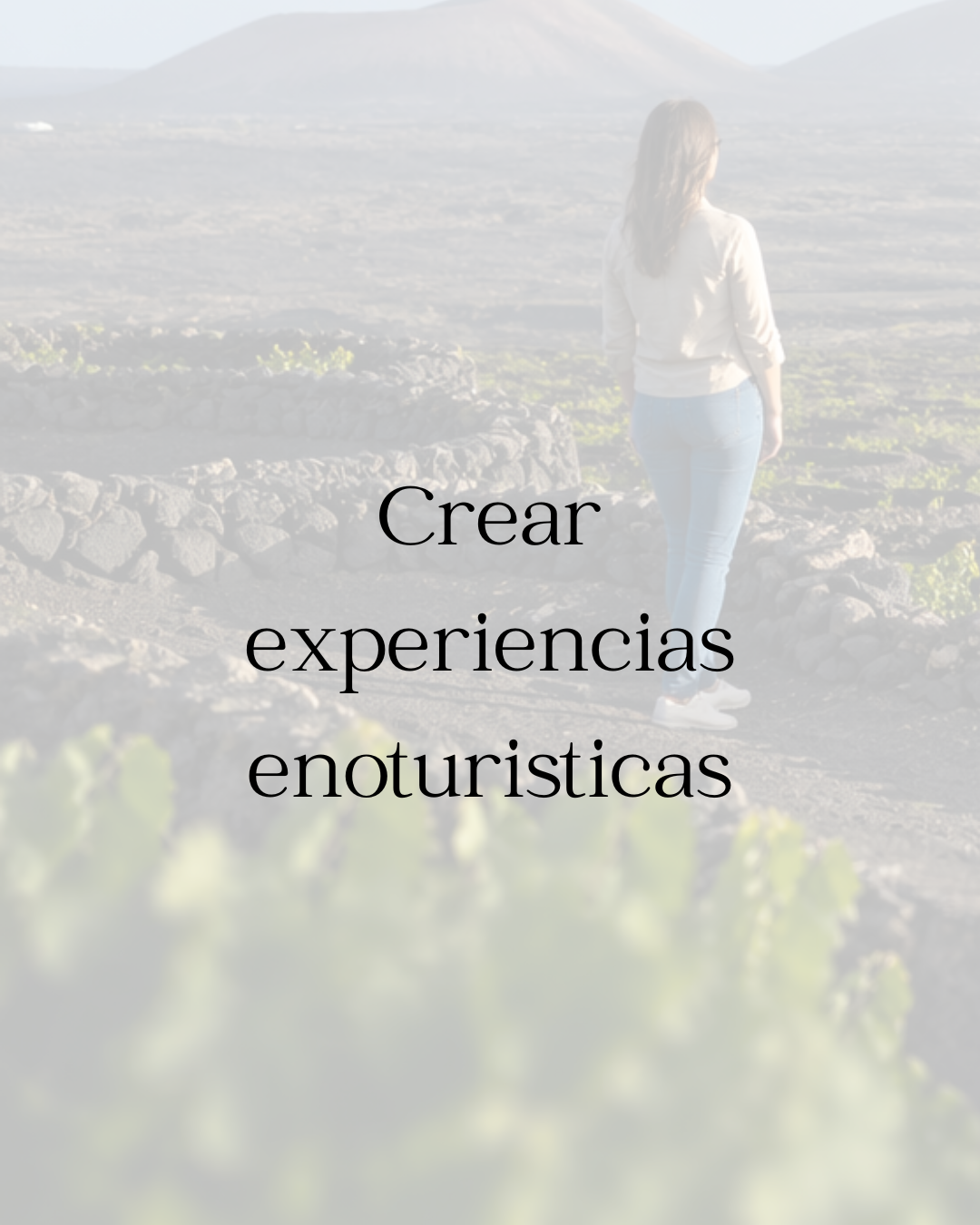Crear experiencias enoturísticas desde el territorio: reflexiones sobre el XI encuentro agroenoturistico de Canarias